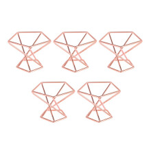 Pack 5 Air Plant Holder Air Plants Holders Tillandsias Display Luchtzuiverende Plantenbak Air Fern Stand, RoséGoud