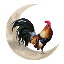 Metal Wall Hanging Sign Rooster Moon Wall Decor Wall Unique Arts for Farmhouse Home Garden Decor