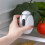 Deodorizer Portable Refrigerator Deodorizer  Rechargeable Freshener Suitable for Refrigerator Home  Device 2