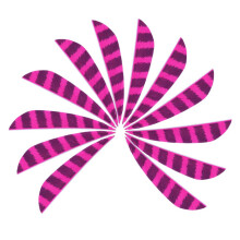 12x 3" Turkey Feather Arrow Fletches Archery Bow Right/Left Wings Pink