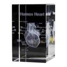 Crystal Heart Model 3D Laser Engraved Anatomical Figurines Medical Science Souvenir Gifts Decoration Paperweight