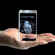 Kristallherz-Modellwürfel, 3D-Lasergravur, Anatomische Figuren, Medizin, Wissenschaft, Souvenir, Geschenk, Dekoration, Briefbeschwerer