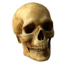 High Quality 1:12 Miniatures Figurines Skull Model for Halloween Home Dollhouse Plant Fish Tank Decoration
