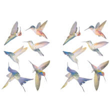 12 Pcs Lrge Size Bird Window Clings Anti-Collision Window Clings Decals to Prevent Bird Strikes Window Glass