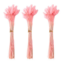 180Pcs Fall Dried Flowers Bunny Tails Dried Flowers Lagurus Ovatus Rabbit Tail Grass for Dried Floral()