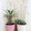 2X Macrame Wall Hanging Shelf, Single Tier Wood Floating Hanging Shelf Organizer Hanger, Boho Home Wall Decor 6