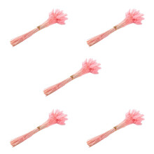 300 StüCk Getrocknete Herbstblumen, HäSchenschwäNze, Getrocknete Blumen, Lagurus, Ovatus, Kaninchenschwanz, Gras für Getrocknete Blumen (Rosa)