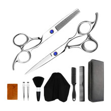 10 Pcs Pro Hair Cutting Scissors Set with Cape Clips Comb for Barber H