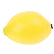 Fruit Shaker Musical Maraca Rattles for Children Kids Party Favor Lemo