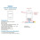 For Tuya Zigbee   with Temperature Sensor 16A 3000W Wireless   for Alexa  Home Yandex Alice 3