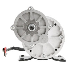 Motor Elétrico de Redução de Engrenagem de 12 V 250 W com Roda Dentada de 9 Dentes, Motores Escovados, Redutor, e-Bike, Scooter