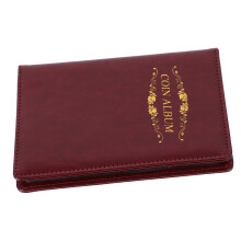 Coin Collection Album with Transparent Slots and Scratch Protection, Compact Storage Book for Collectors