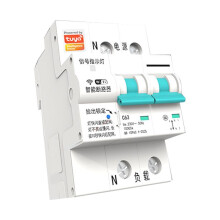 Tuya WIFI Circuit Breaker MCB Life Remote Control Short Circuit Protection Timed Circuit Breaker 63A 2P