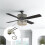 6Pack Ceiling Fan Light  ZE-109 Fan  Ceiling Pull Chain  Replacement (Nickel) 4