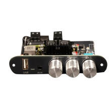 T1001P  Audio Amplifier Mono 100W Lossless Sound Quality Stereo TWS Pairing Audio Amplifier Player