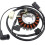 Motorcycle Stator Coil Magneto Ignition Stator Coil for  GTS 125 300 1
