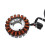 Motorcycle Stator Coil Magneto Ignition Stator Coil for  GTS 125 300 2