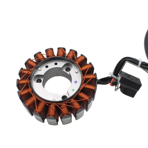 Motorcycle Stator Coil Magneto Ignition Stator Coil for  GTS 125 300 1