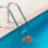 Octopus Pool Thermometer Floating Water Temperature Tester for Spa Pond Indoor Pools 2