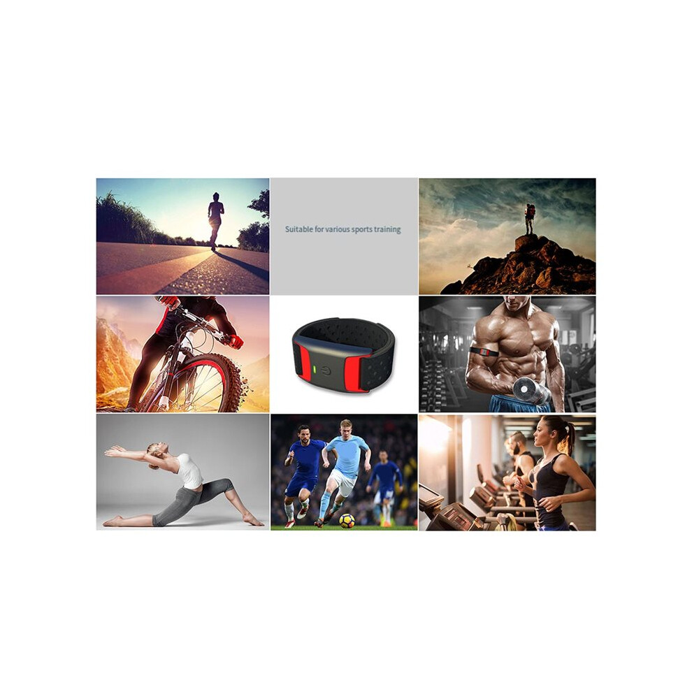 Heart Rate Monitor Armband BLE&ANT+ Fitness Heart Rate Monitor Armband for  Polar Wahoo Zwift