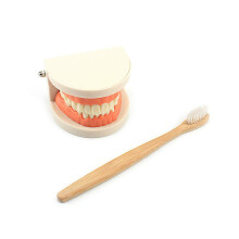 Montessori Practical Life Wooden Tooth Brushing Set for Kids – Teaches Brushing Sequence & Motor Skills