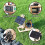 Complete  Kit for  Programming Solar Tracking System Great Fun STEM Education Full Version Set 6