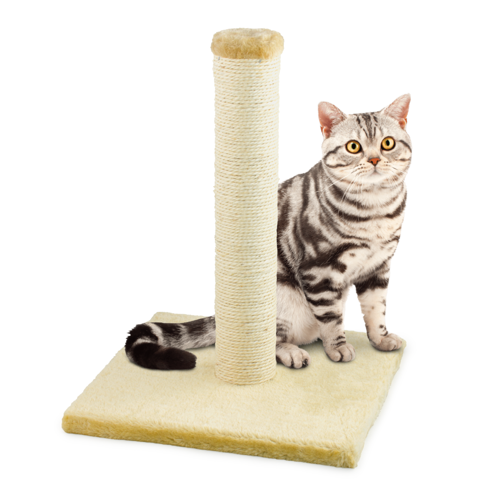 Kct (Small, ) Cat Scratching Post For Indoor Kitten 40/78Cm Scratcher Pole Scratch Natural Durable Sisal Freestanding Sturdy For Small Spaces Beige