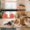 Pet Microchip Scanner, RFID EMID Micro-Chip Reader 500 Storage Records, 15 Digit Pet Chip Scanner for Dog/Cat/Pig/Animal 3