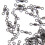 200X  de Stratification pour Anneau de Peche en Forme de 8 Du Type 64Lb 4