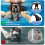 2X Snorkel Mask Foldable Diving Mask Set with Dry Top System and Camera Mount,Black 7
