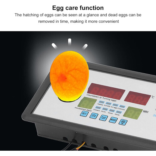 Egg Incubator Thermostat with Precise Temperature Control, Humidity Display and Builtin Illumination 2