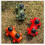 6PCS Awning Canopy Pole Fixed Tube Ground Bracket Windproof Adjustable Tent Support Pole with Ground Nails-Orange 2