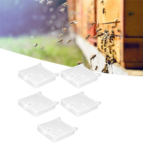 Beekeeping Cage Bee Moving Cage Bee Catcher Cage Plastic Rearing Transport Cage Tool Beekeeping Accessory(5pcs) 1