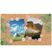 Flower Push Pins Cork Notice Board Thumb Tacks Drawing Pins Chart Pins for Office Notice Board Bulletin Board