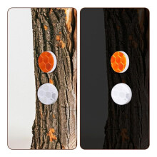 100pcs Reflective Tacks for Trail Marking, Reflective Trail Tacks Thumb Tacks Tree Markers for Camping Hiking Survival