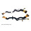 Lens Aperture Flex Cable for  16-50 mm OSS Repair Part 8