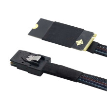 M.2(M-Key NVMe 2260) to SAS SFF-8087 Plug and Server High Speed Cable 1m