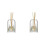 2X FöRvaringsbehåLlare Diffuserflaskor Aromaterapi Diffuserflaska Modern Diffuser Glasflaska Eterisk Olja Organizers,B 1