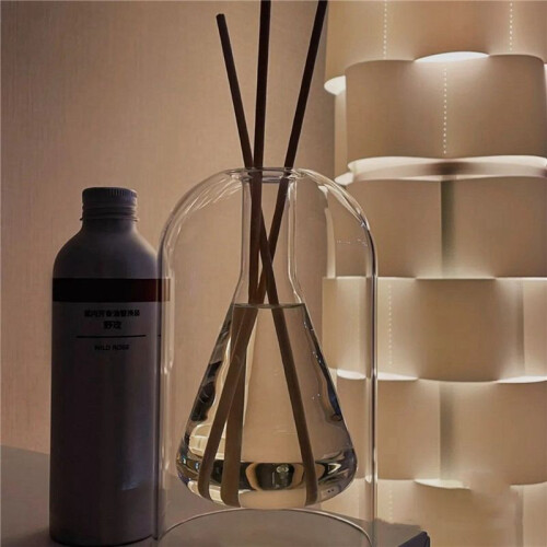2X FöRvaringsbehåLlare Diffuserflaskor Aromaterapi Diffuserflaska Modern Diffuser Glasflaska Eterisk Olja Organizers,B 1
