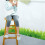 5X DIY Green Grass Wall Sticker Removable Wall Decor Waterproof Bedroom Mural Decal 10