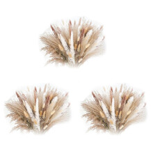 255PcsPampas Grass Decorative Vase Home Design Arrangements, Dried Natural Pampas Grass Plants Fluffy Dried Flowers 43cm