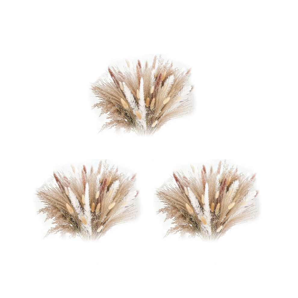 Semoic 255Pcspampas Grass Decorative Vase Home Design Arrangements, Dried Natural Pampas Grass Plants Fluffy Dried Flowers 43Cm