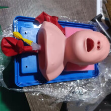 Tracheal Intubation Infant Model, Nasal Intubation Model Simulator,Airway Management Teaching Aid Kit