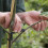 Branch Spreaders Plant Stem Traine Fruit Tree Branch Puller Tying Machine Farm Tools New Plum Tree Open Angle Pull 8