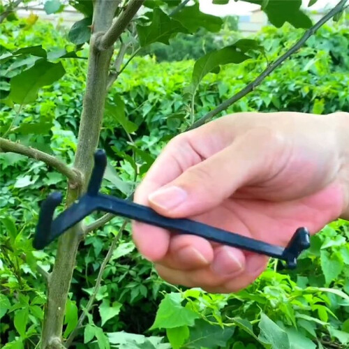 Branch Spreaders Plant Stem Traine Fruit Tree Branch Puller Tying Machine Farm Tools New Plum Tree Open Angle Pull 1