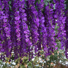 Kunstzijde Wisteria Vine Ratta Zijde Hangende Bloem Bruiloft Decor, 6 Stuks, (Paars)