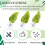 Beta Fish Hammock Plant Leaf Mat Fish Spreading Breeding Resting Bed 4
