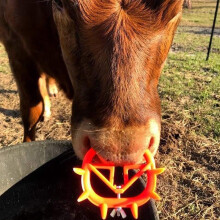 20PC Cow Nose Farm Livestock Animal Weaner Red Plastic Weaning Tool for Calf Cattle Prevent Sucking