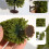 Modèle de Construction DIY Table de Sable Matériau Modèle Paysage Modèle D'Arbre 1