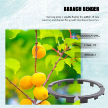 10PCS Fruit Tree Shaper Branch Bender Plant Trainer Bending Clips Twig Clamps Bonsai Shaped Twig Clip Bending Tool